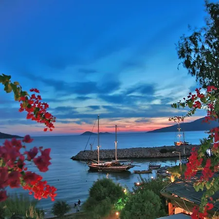 Orsa Aparts Kalkan